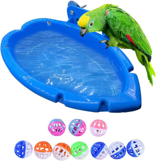 Comedero y Baño Multifuncional para Aves - Image 10