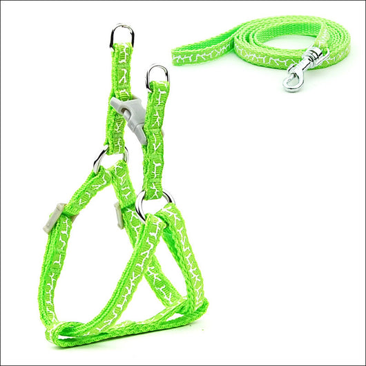 Arnés de Paseo Ajustable para Gatos y Perros Pequeños - Image 30