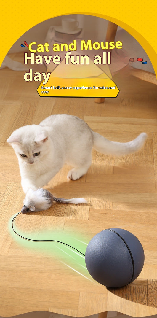 Juguete Interactivo Eléctrico para Gatos y Perros - Pelota Ratón Móvil - Image 6