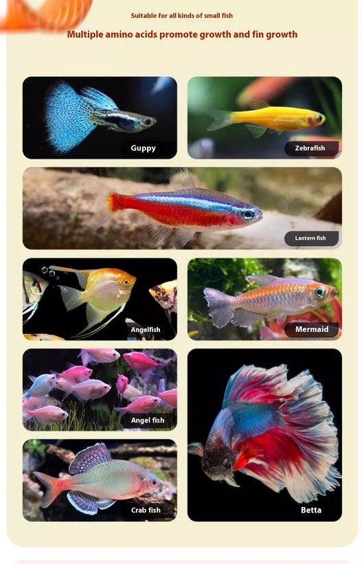 Alimento para Peces Ornamentales con Semáforo de Control - Image 14