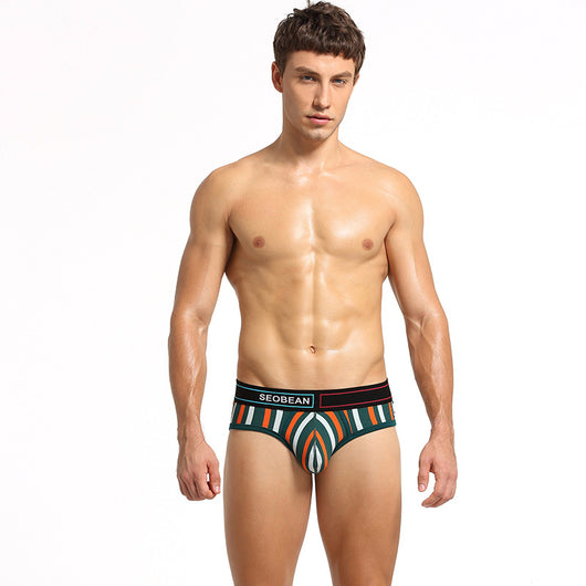Calzoncillos de Algodón para Hombre con Rayas Verticales - Image 6