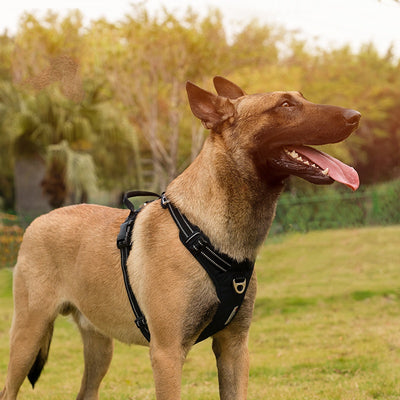 Arnés Reflectante Camuflado para Perros con Tecnología Antiexplosión - Image 4