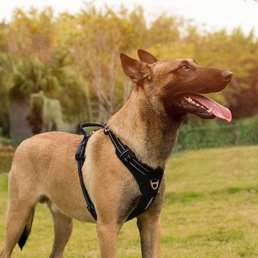 Arnés Reflectante Camuflado para Perros con Tecnología Antiexplosión - Image 4