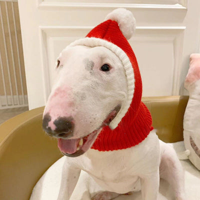 Gorro de Lana para Mascotas - Diseño Elegante Otoño e Invierno - Image 9