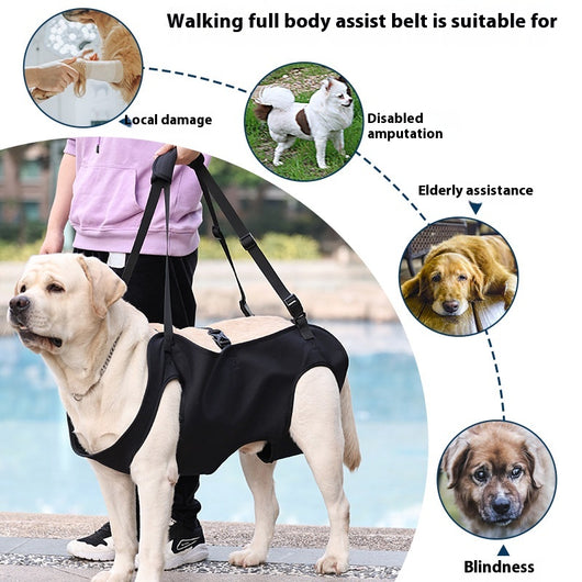 Arnés de Apoyo para Perros Lesionados en Tela Oxford - Image 2