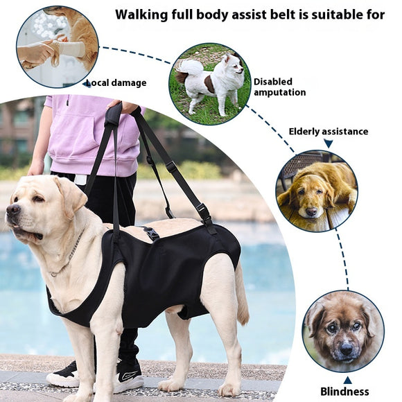 Arnés de Apoyo para Perros Lesionados en Tela Oxford