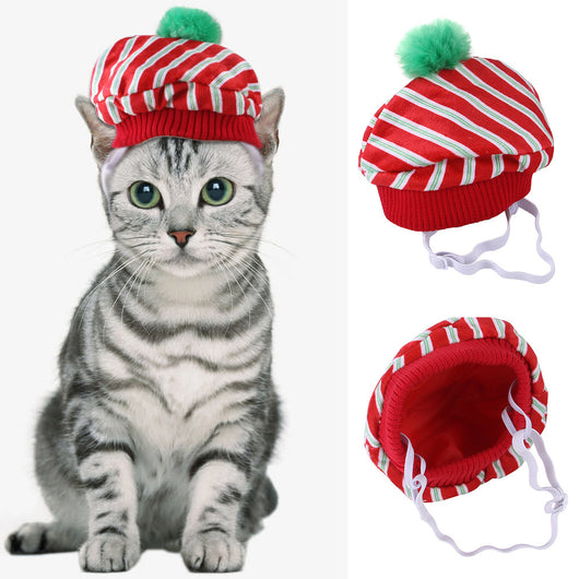 Gorro Rizado Divertido para Mascotas - Disfraz Cómico para Gatos y Perros - Image 15