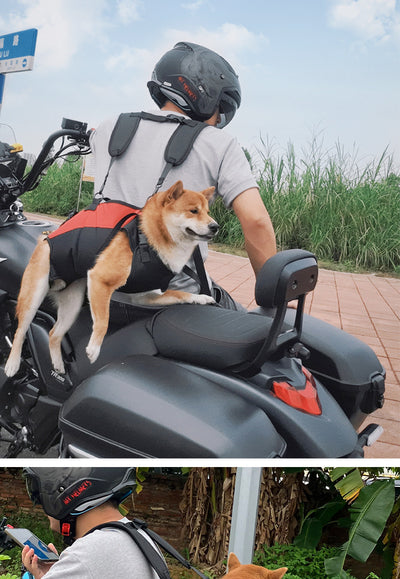Mochila Transportadora Aérea para Mascotas - Paseos y Aventuras - Image 26