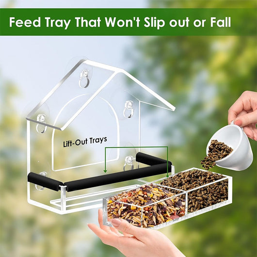 Transparent acrylic window bird feeder with a house-shaped roof and black perch, mounted with suction cups. - Image 3