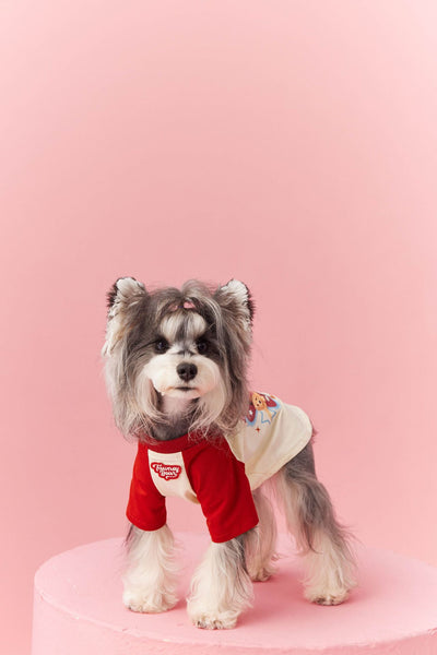 Ropa de Verano para Perros con Contraste de Colores - Image 16