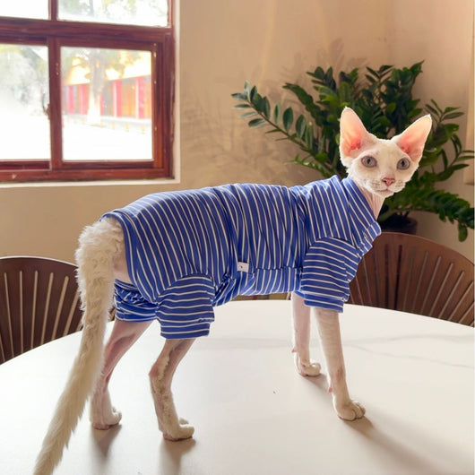 Ropa Transpirable para Gatos - Diseño Ligero y Fresco - Image 7