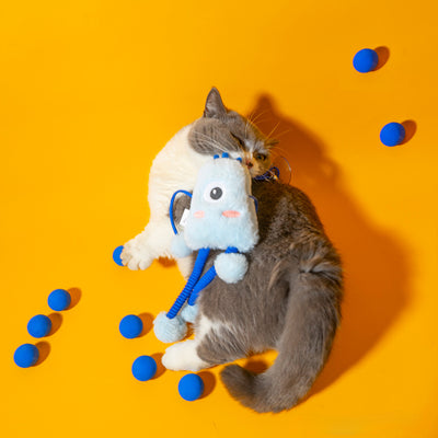 Juguete Interactivo para Gatos con Cuerda Elástica y Campana de Menta