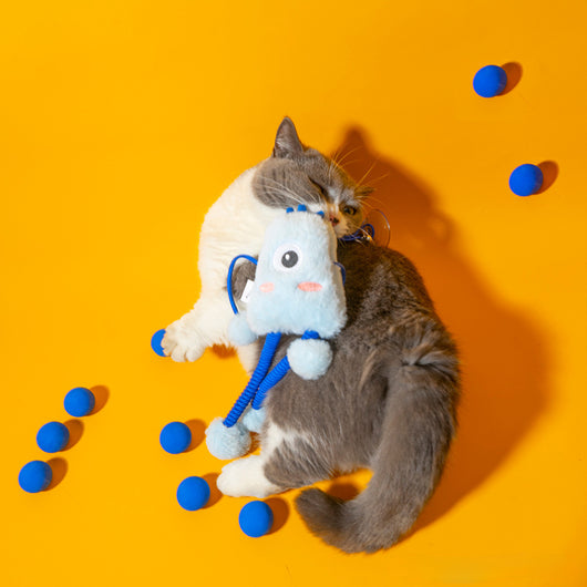 Juguete Interactivo para Gatos con Cuerda Elástica y Campana de Menta