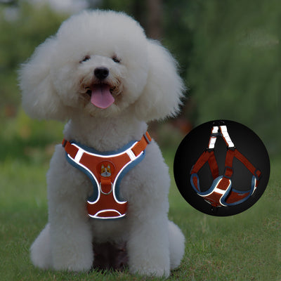 Arnés y Correa para Perro Pequeño - Set Ajustable con Reflectantes - Image 3