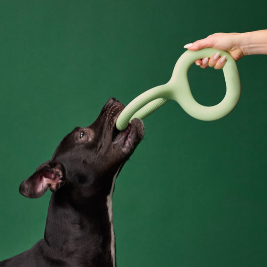 Light green rubber pet bite and pull toy shaped like a figure eight, with a ribbed texture on one end. - Image 10