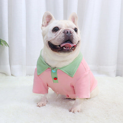Ropa para Bulldog con Contraste de Colores - Image 5
