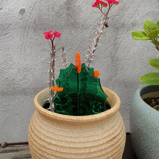 Decoración de Escritorio Cactus Acrílico - Image 18