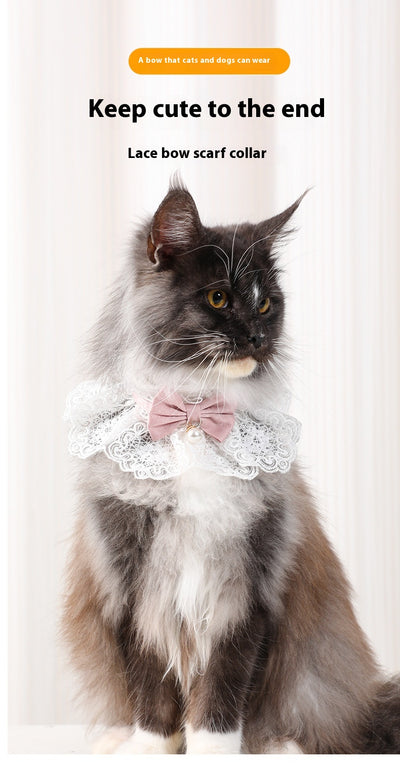Collar Pañoleta de Encaje para Gatos Todas las Estaciones - Image 16