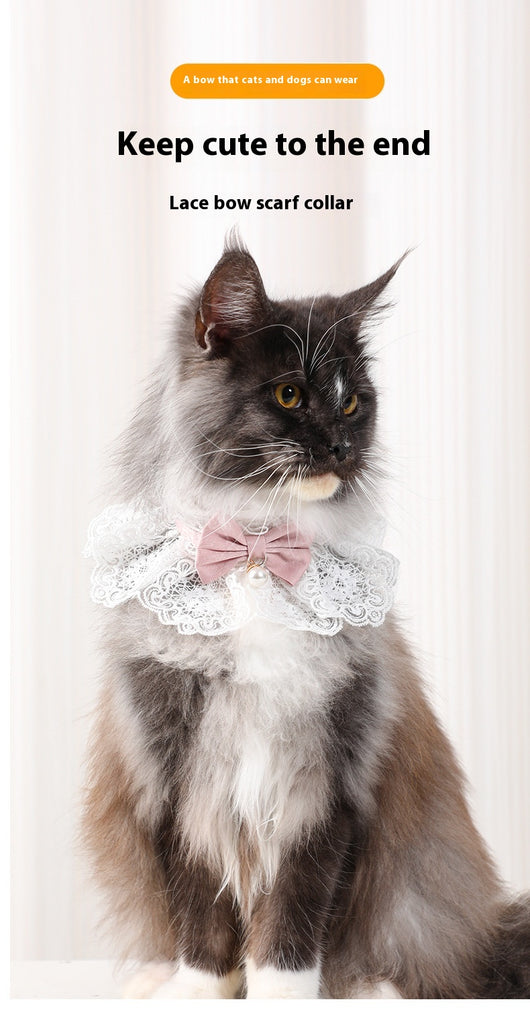 Collar Pañoleta de Encaje para Gatos Todas las Estaciones - Image 16