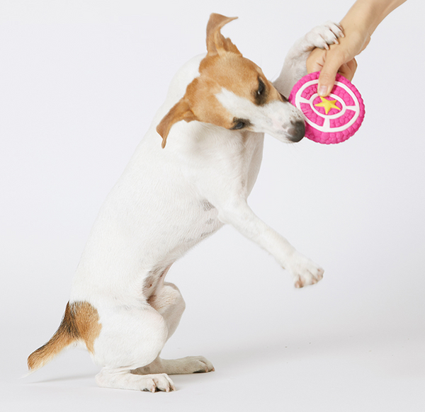 Juguete Resistente para Dentición de Perros Grandes con Sonidos Estimulantes