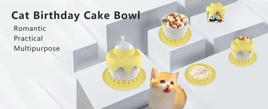 Set Completo de Alimentación para Gatos con Tazón Lento y Accesorios para Fiesta - Image 11