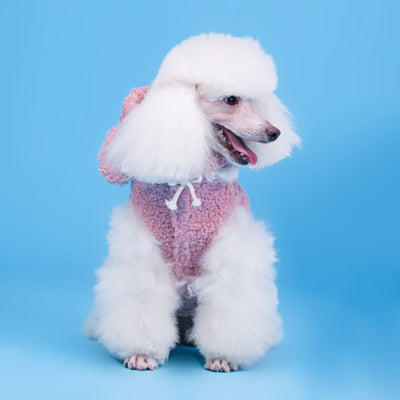 Pijama Deportivo para Perros Cubs - Diseño de Dos Patas - Image 20