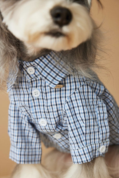 Camisa Cuadriculada de Verano para Perros Pequeños - Image 23