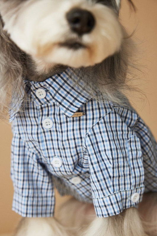 Camisa Cuadriculada de Verano para Perros Pequeños - Image 23