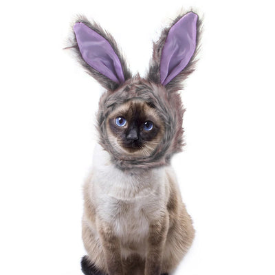 Gorro Rizado Divertido para Mascotas - Disfraz Cómico para Gatos y Perros - Image 6