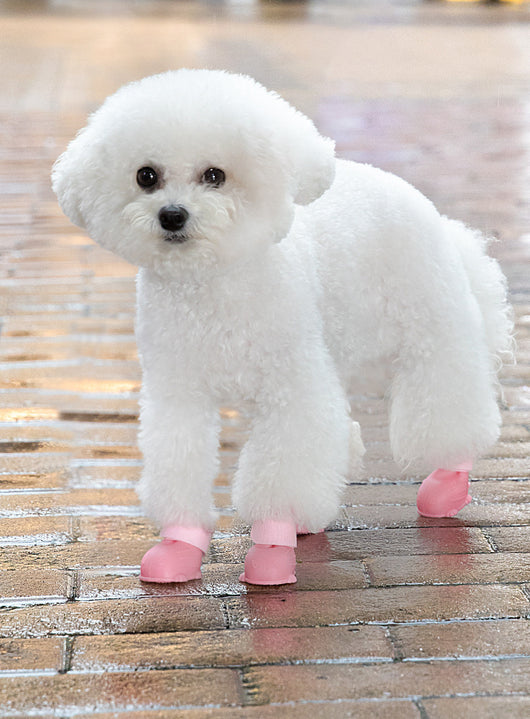 Botas Impermeables para Perros - Set 4 Piezas Antideslizantes - Image 12