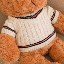 Osito de Peluche Suave con Suéter Acogedor - Image 9