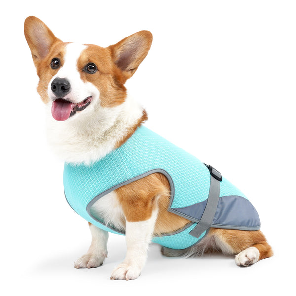 Chaleco Refrigerante para Perros - Ropa Transpirable Antiinsolación