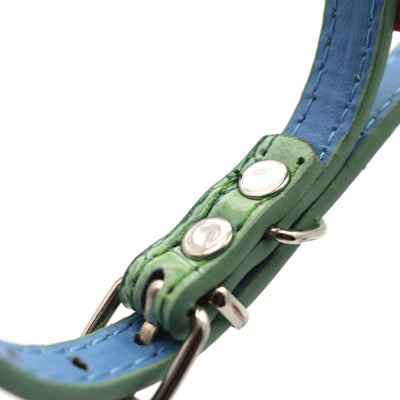 Collares Ajustables para Perros Pequeños y Gatos de Viaje Internacional - Image 6