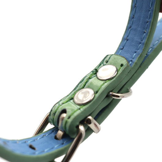 Collares Ajustables para Perros Pequeños y Gatos de Viaje Internacional - Image 6