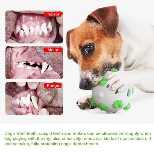 Juguete Pelota Interactiva para Perros - Limpieza Dental, Entrenamiento Mental y Alivio del Estrés - Image 8