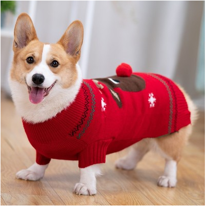 Abrigo Acolchado Térmico para Shiba Inu - Protección Invernal - Image 16