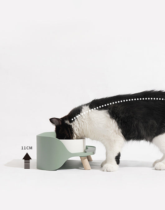 Comedero Doble Inclinado para Gatos y Perros - Protege Cuello con Diseño Antiderrame - Image 13