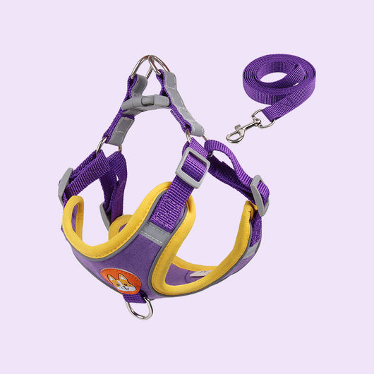 Arnés de Pecho con Correa de Cadena para Mascotas - Image 3