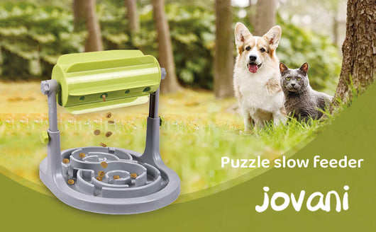 Comedero Interactivo Puzzle para Perros y Gatos - Dispensador de Alimento Lento con Entrenamiento IQ - Image 10