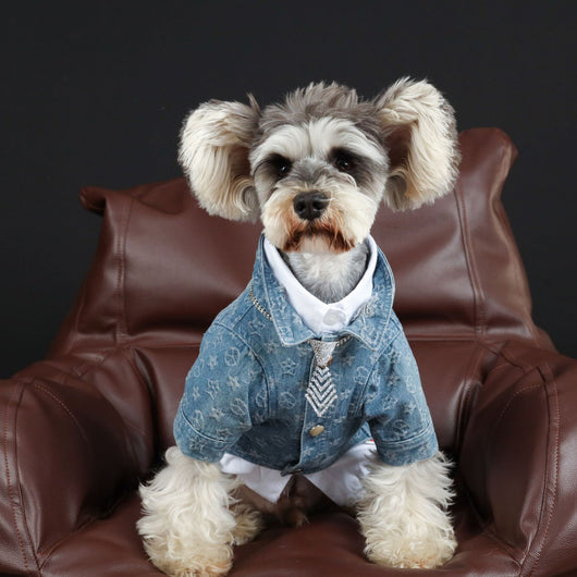 Camisa Denim Primavera Verano para Mascotas - Image 11