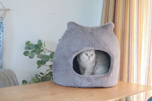 Cama Térmica para Gatos con Orejas - Nido Desmontable y Lavable para Todas las Estaciones - Image 5