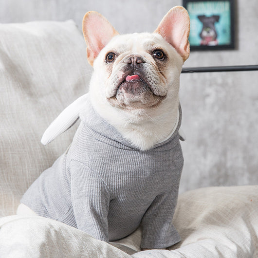 Ropa para Perros Primavera Otoño - Abrigo Cómodo y Elegante - Image 6