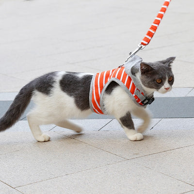 Chaleco arnés para gato con capucha para paseos - Image 11