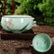 Lotus Cup