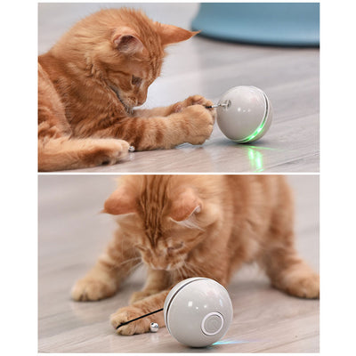 Four colorful LED laser cat balls in white, grey, pink, and blue, shown with a cat playing. - Image 10
