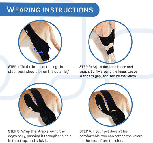 Black pet leg brace for dog injury assistance and rehabilitation, featuring adjustable straps and a supportive design. - Image 16