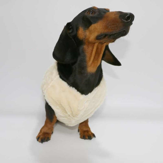 Chaleco Térmico para Perros y Gatos con Forro Polar - Ropa de Abrigo Otoño Invierno - Image 4