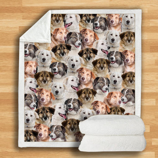 Manta Franela Estampada para Perros