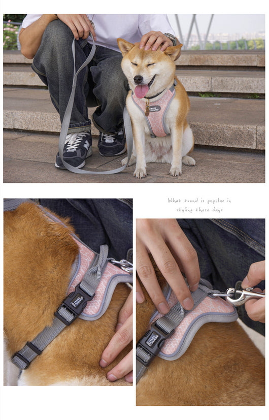 Arnés de Pecho Estilo Chaleco para Perros - Image 9