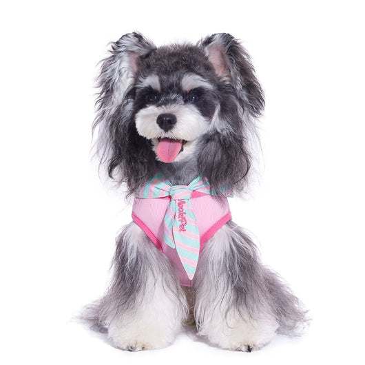 Capa y Bufanda Térmica para Perros y Gatos - Image 9